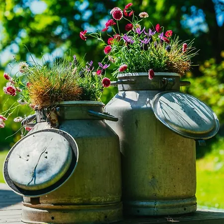 Uue-ringi Holiday home Puise