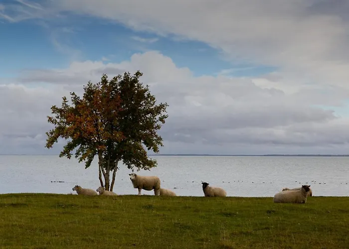 בית נופש Uue-ringi